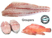 Black Grouper Fresh Fish Fillet Per Pound