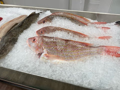 Yellowtail Snapper | Whole or Fillet - Per Pound