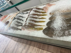 Yellowtail-Fish-Snapper-display-on_ice-by-miami-fresh-fish-market