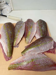 fresh-fish-yellow-tail-snappers-fillet