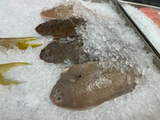 whole-fish-dover-sol-on-ice-display