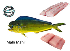 Mahi Mahi Wild Caught Fish  | Fillet Per Pound