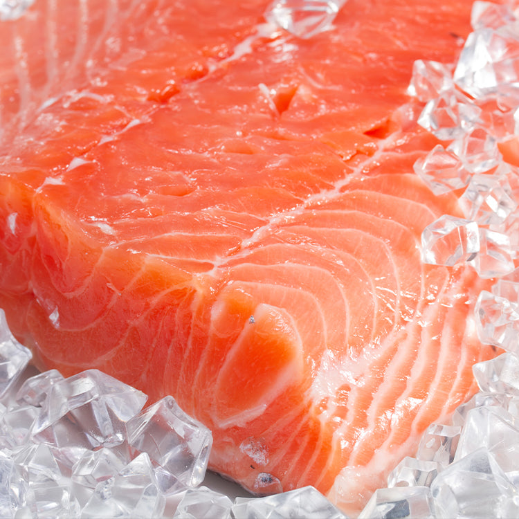 wild-salmon-fillet-on-ice-Miami-fresh-fish